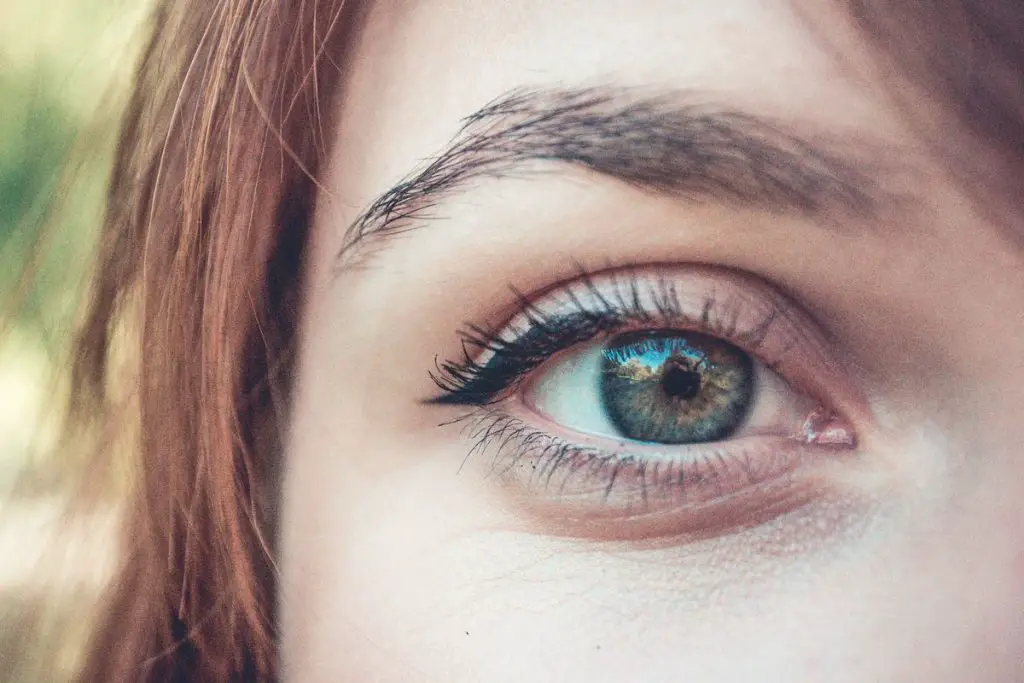 Does Coconut Oil for Eyelashes Work