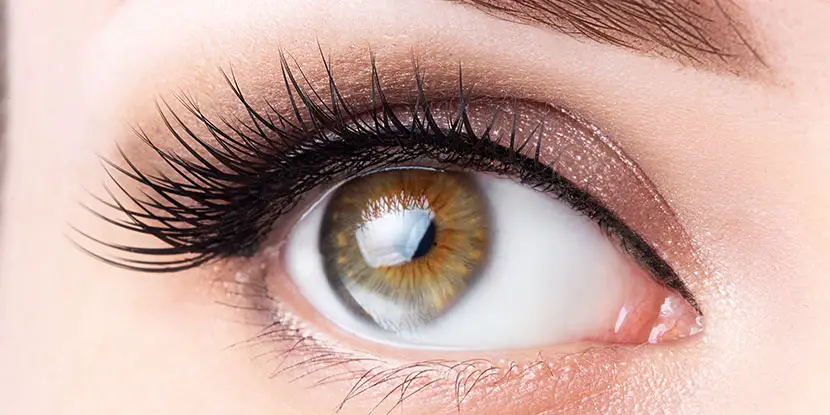 Eyelash Growth Serums