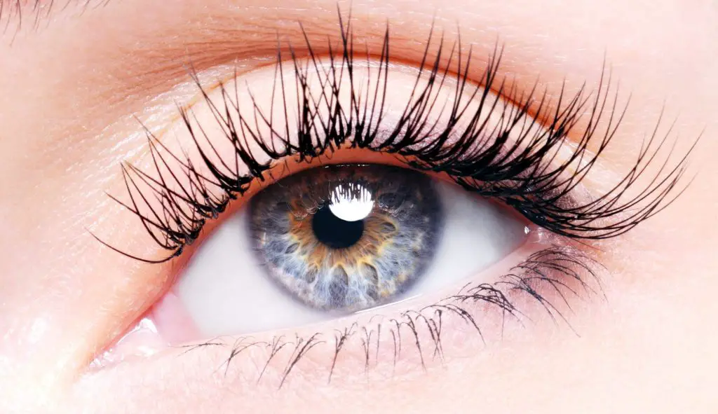 Eyelash