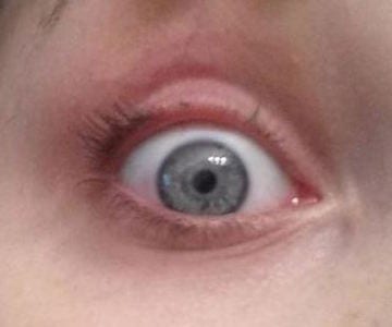 eyelash curler reviews