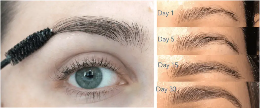 how-long-does-it-take-for-eyebrows-to-grow-back