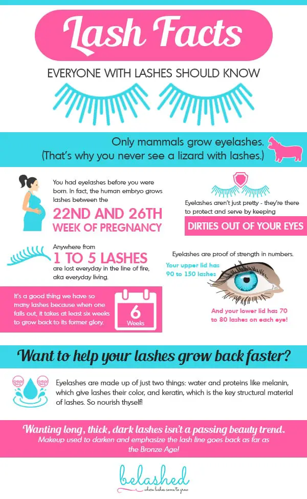 Eyelash Facts Everyone With Lashes Should Know