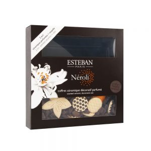 Esteban Neroli Decorative Scent Diffuser - The Best Citrus Reed Diffuser